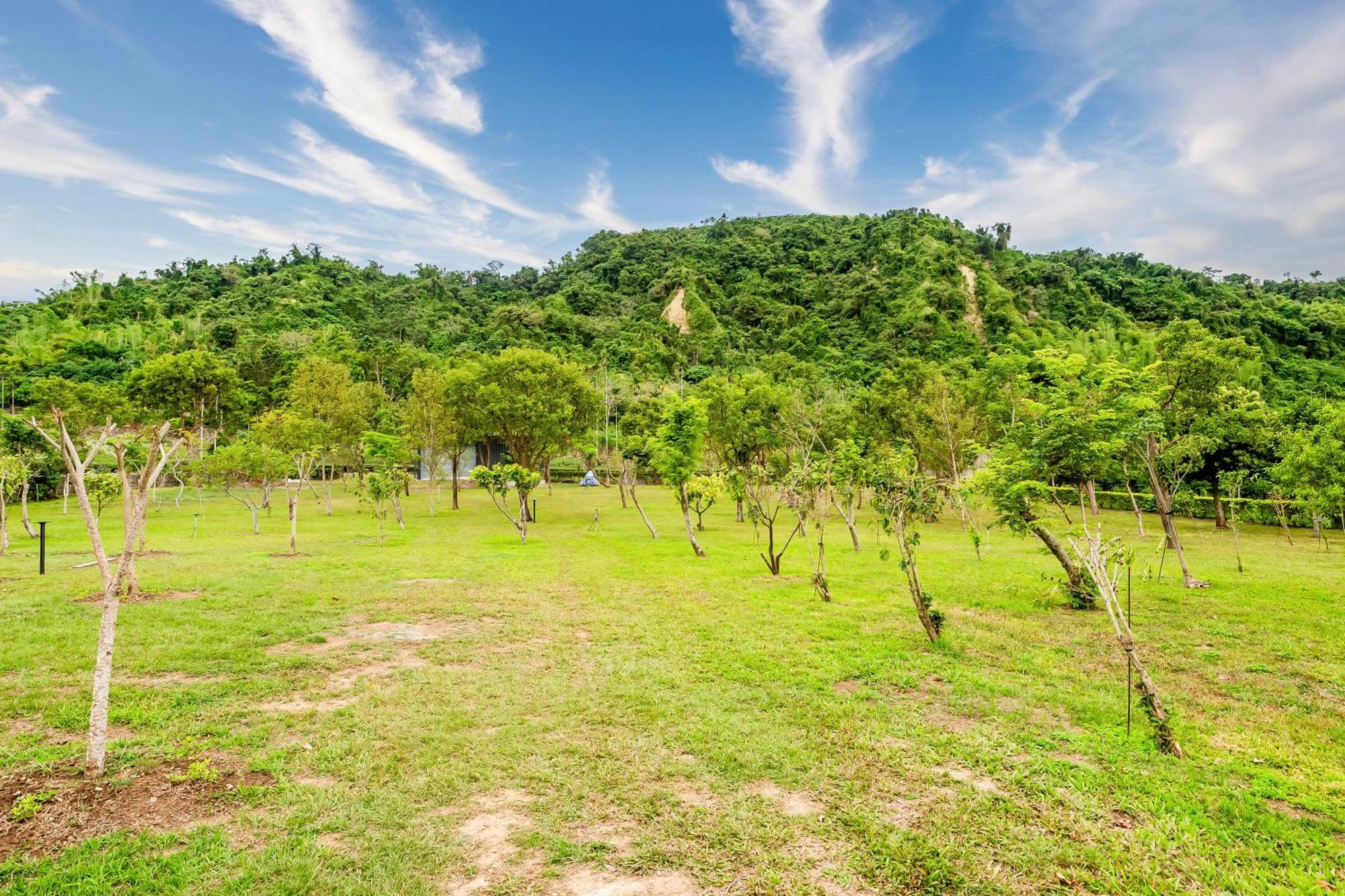 Apartament Dream Field Luye Zewnętrze zdjęcie