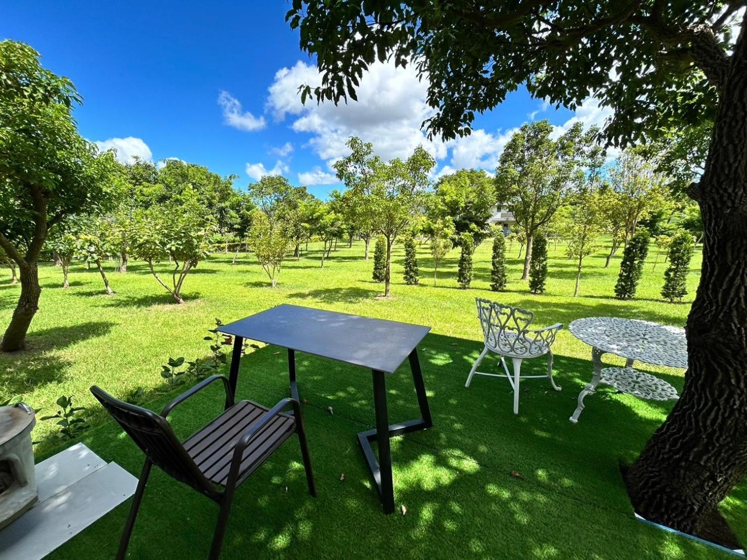Apartament Dream Field Luye Zewnętrze zdjęcie